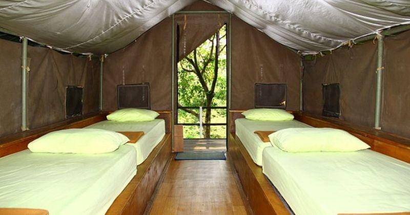 Tripadvisor.com/Gunung Geulis Campsite